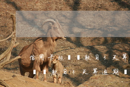 信用卡超過還款日3天算逾期嗎-信用卡超過還款日3天算逾期嗎