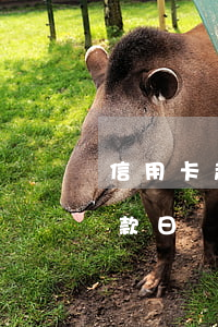 信用卡超過還款日就算逾期嗎(行用卡超過還款日兩天會出現(xiàn)信用問題嗎?)