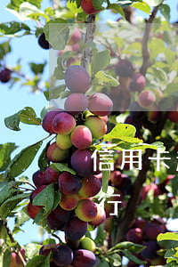 信用卡超限算不算逾期(可以超限的信用卡銀行)