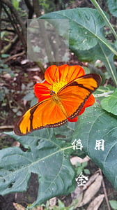 信用卡超額不還會(huì)坐牢嗎(信用卡金額超過多少不還會(huì)坐牢)