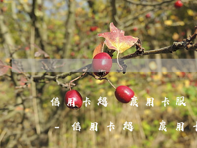 信用卡超額度用卡服務(wù)有什么影響-信用卡超額度用卡服務(wù)有什么影響嗎