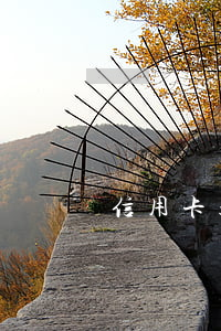 信用卡超額算不算逾期呢(信用卡逾期的多嗎)