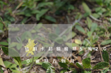 信用卡超額逾期5萬20天(信用卡10000逾期五個月)