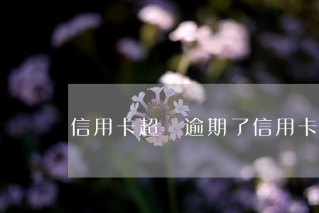 信用卡超額逾期了 信用卡超額逾期了怎么辦