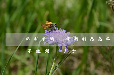 信用卡超額逾期利息怎么算(逾期月利息最高不能超過多少)