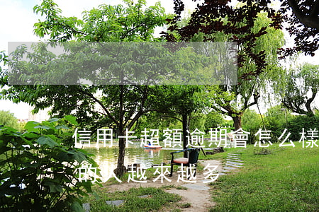 信用卡超額逾期會怎么樣(為什么信用卡逾期的人越來越多)