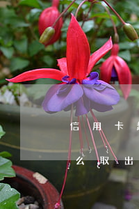 信用卡超额透支了怎么取(信用卡超出的钱怎么取出来)