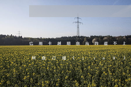信用卡越期息高的還不上怎么辦-還信用卡利息已經(jīng)超越本金還需還款嗎