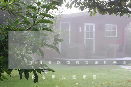 信用卡跟微粒貸逾期先還哪個(信用卡跟微粒貸逾期先還哪個)