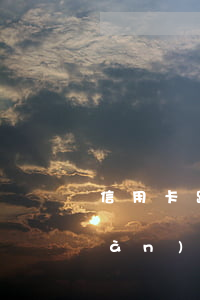信用卡跟網(wǎng)貸欠30多萬(wàn)怎么辦-信用卡跟網(wǎng)貸欠30多萬(wàn)怎么辦呢