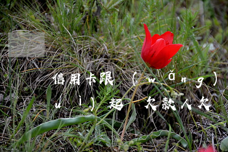 信用卡跟網(wǎng)貸逾期多久會(huì)起訴欠款人(欠網(wǎng)貸信用卡多久會(huì)被起訴)