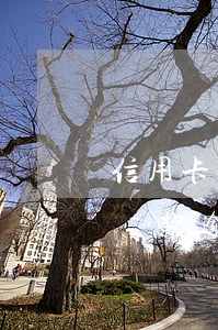 信用卡跟貸款逾期哪個更嚴(yán)重-貸款逾期與信用卡逾期的后果是什么