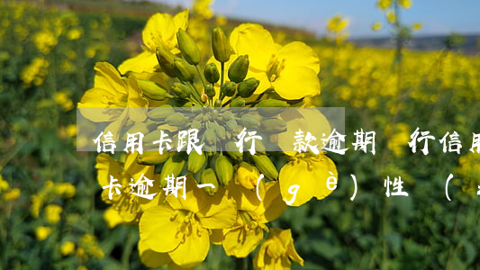 信用卡跟銀行貸款逾期(銀行信用貸款跟信用卡逾期一個(gè)性質(zhì)嗎)