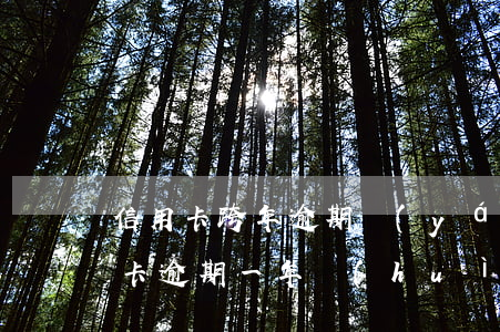 信用卡跨年逾期嚴(yán)重嗎(銀行信用卡逾期一年會(huì)怎么樣)