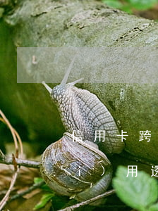信用卡跨行透支取現(xiàn)費(fèi)用(透支卡取現(xiàn)手續(xù)費(fèi))