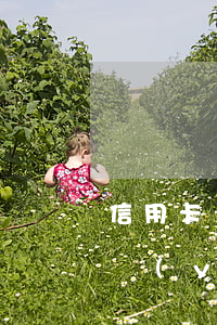 信用卡輕度逾期(短信說(shuō)信用卡嚴(yán)重逾期)