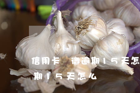 信用卡輕微逾期15天怎么辦(信用卡輕微逾期15天怎么辦)