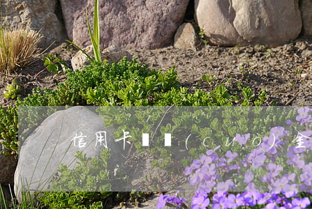 信用卡輸錯(cuò)金額逾期
