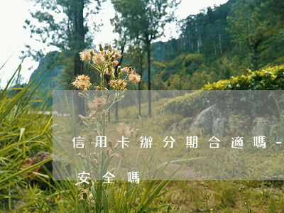 信用卡辦分期合適嗎-信用卡辦分期合適嗎安全嗎