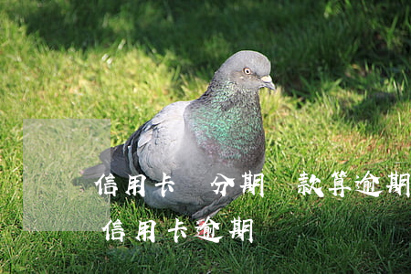 信用卡辦分期還款算逾期嗎(分期卡逾期屬于信用卡逾期嗎)