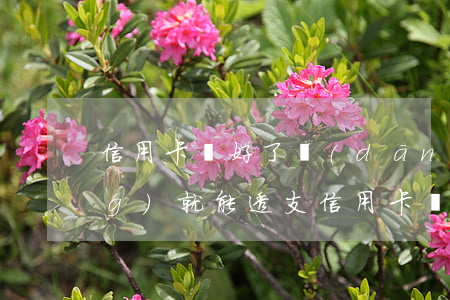 信用卡辦好了當(dāng)場(chǎng)就能透支(信用卡辦好了當(dāng)場(chǎng)就能透支)