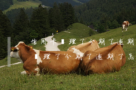 信用卡辦理了分期了逾期了怎么辦-信用卡辦理了分期了逾期了怎么辦呢