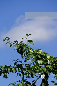 信用卡辦理了分期無力償還怎么辦-信用卡辦理了分期無力償還怎么辦理