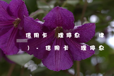信用卡辦理停息掛賬律師怎么收費(fèi)-信用卡辦理停息掛賬律師怎么收費(fèi)的