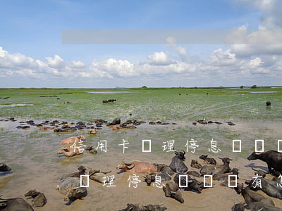 信用卡辦理停息掛賬會有怎樣影響-信用卡辦理停息掛賬會有怎樣影響嗎