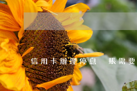 信用卡辦理停息掛賬需要什么材料