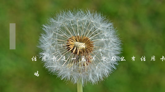 信用卡过一天算逾期么(有信用卡逾期一年的吗)