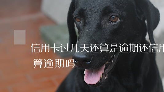 信用卡过几天还算是逾期(还信用卡晚了两天算逾期吗)