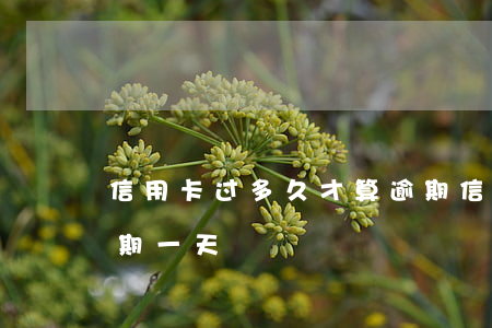 信用卡过多久才算逾期(信用卡过多久才算逾期一天)