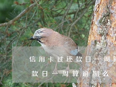 信用卡过还款日一周算逾期么吗（信用卡过还款日一周算逾期么）