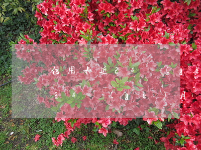 信用卡近24個(gè)月無逾期(信用卡近24個(gè)月無逾期)