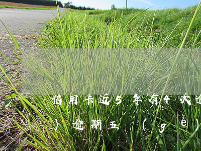 信用卡近5年有4次逾期(信用卡連續(xù)逾期五個(gè)月后果)