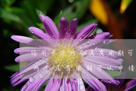 信用卡近两个月有逾期可以申请吗(信用卡近两个月有逾期可以申请吗贴吧)