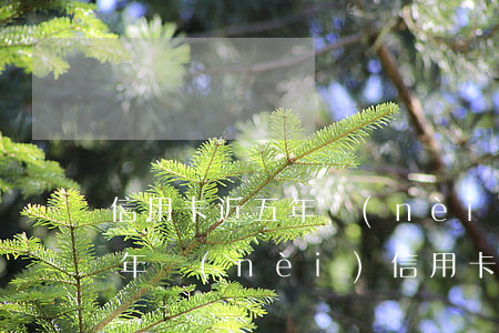 信用卡近五年內(nèi)有14次逾期(五年內(nèi)信用卡逾期10次但兩年內(nèi)無逾期)