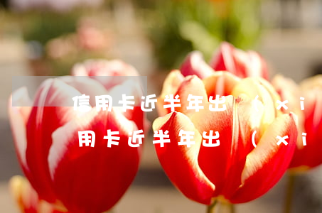 信用卡近半年出現(xiàn)兩次逾期 信用卡近半年出現(xiàn)兩次逾期