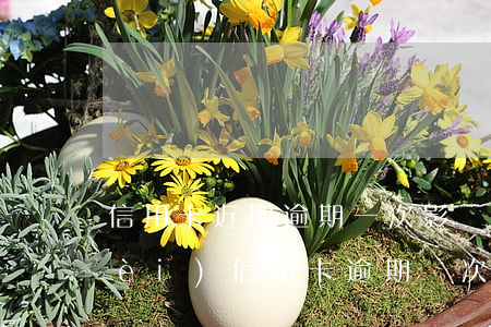 信用卡近期逾期一次影響貸款嗎(半年內(nèi)信用卡逾期兩次影響貸款嗎)