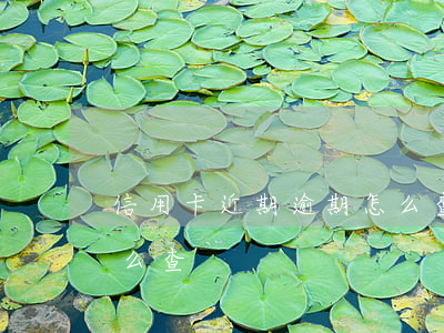 信用卡近期逾期怎么查看（信用卡近期逾期怎么查）