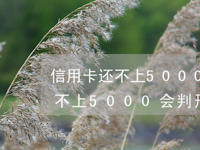 信用卡还不上5000会判刑吗-信用卡还不上5000会判刑吗知乎