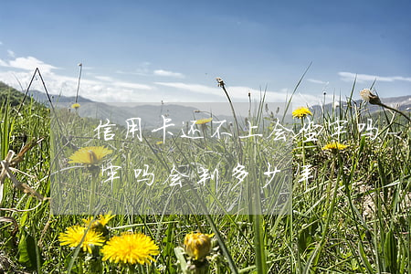 信用卡还不上会坐牢吗-信用卡还不上会坐牢吗会判多少年