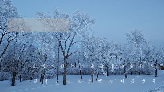 信用卡还不上会坐牢吗会判多少年-信用卡还不上会坐牢吗会判多少年 会连累家人吗