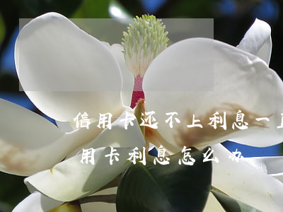 信用卡还不上利息一直滚怎么办-还不起信用卡利息怎么办