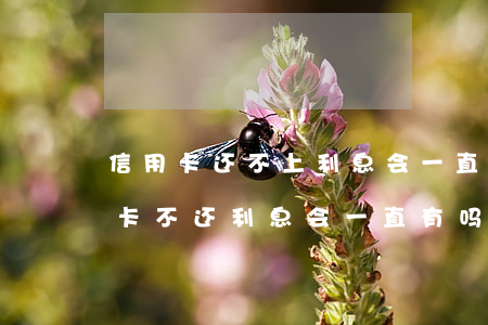 信用卡还不上利息会一直算下去吗-欠信用卡不还利息会一直有吗