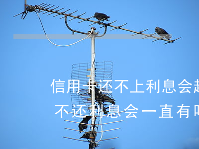 信用卡还不上利息会越来越多吗-欠信用卡不还利息会一直有吗