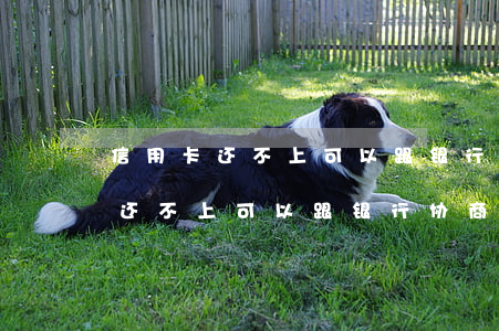 信用卡还不上可以跟银行协商解决吗(信用卡还不上可以跟银行协商解决吗)