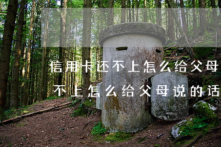 信用卡还不上怎么给父母说的话-信用卡还不上怎么给父母说的话呢