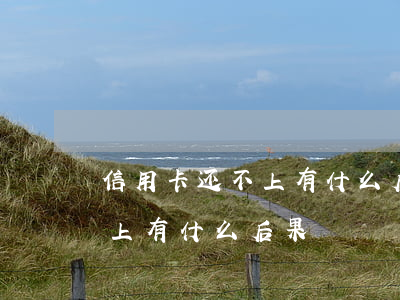 信用卡还不上有什么后果?(欠多家信用卡还不上有什么后果)